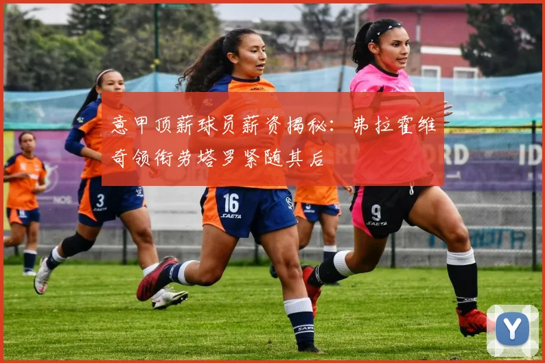 意甲顶薪球员薪资揭秘：弗拉霍维奇领衔劳塔罗紧随其后
