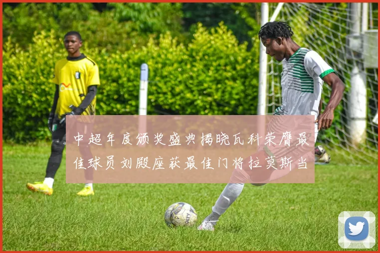 中超年度颁奖盛典揭晓瓦科荣膺最佳球员刘殿座获最佳门将拉莫斯当选最佳教练